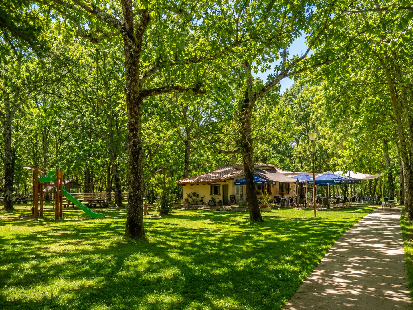 Bar de la zona recreativa La Dehesa en Agallas