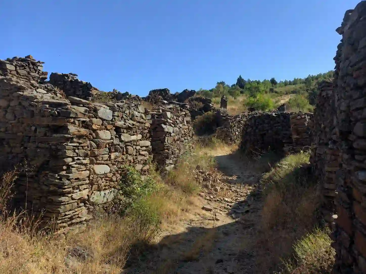 Ruinas de El Majadal en Vegas de Domingo Rey, Sierra de Gata Salmantina