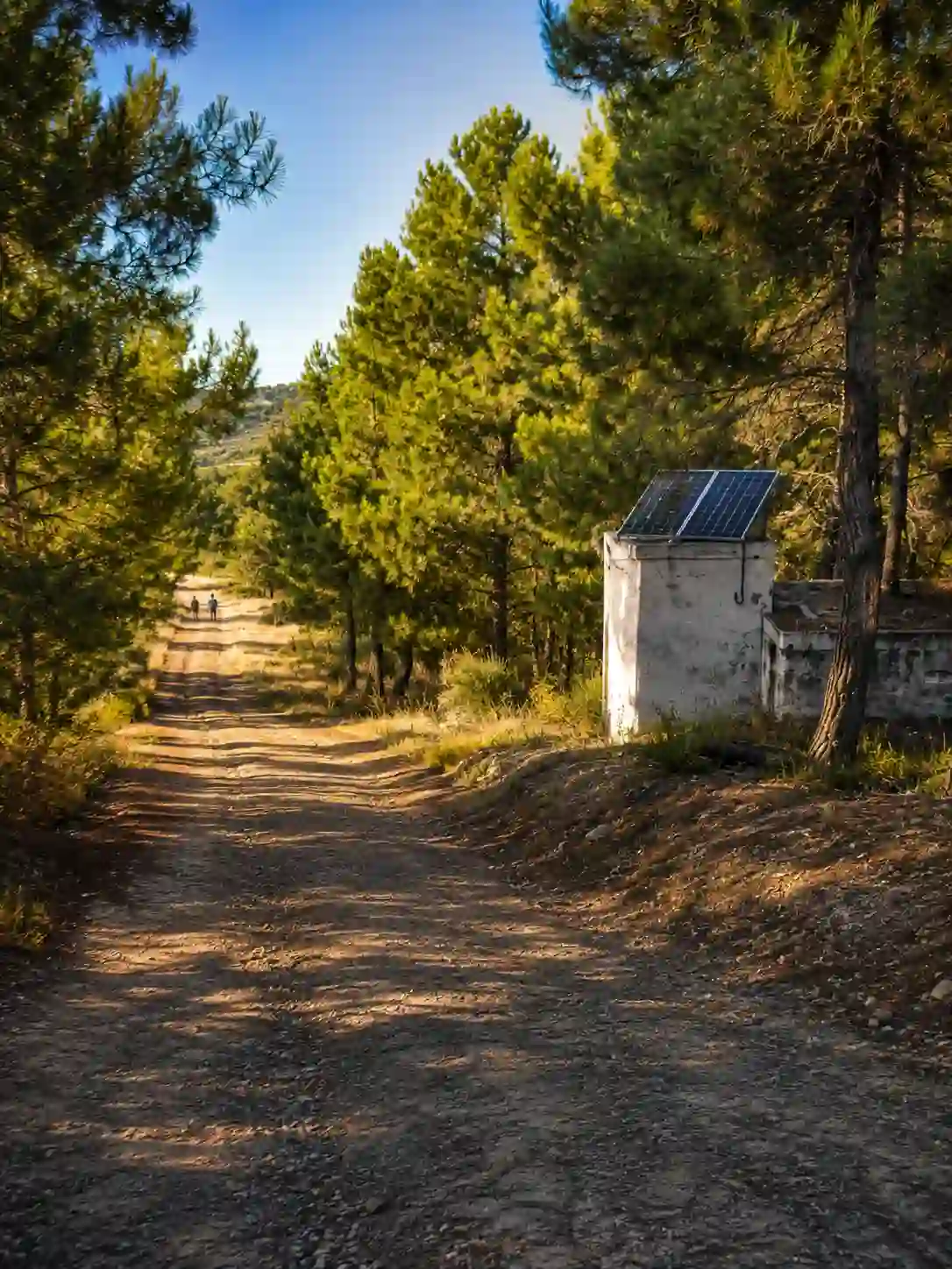 Sendero a La Canchera pasando por el depósito de Vegas de Domingo Rey